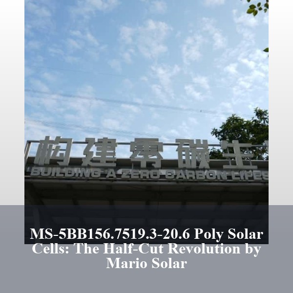 MS-5BB156.7519.3-20.6 Poly Solar Cells: The Half-Cut Revolution by Mario Solar